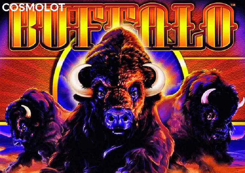 buffalo